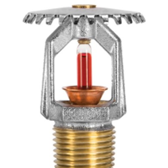TY313 Đầu phun Sprinkler Tyco hướng lên.