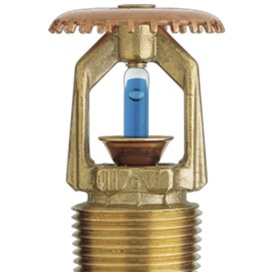 TY4151 Đầu phun Sprinkler Tyco hướng lên K=8.0.